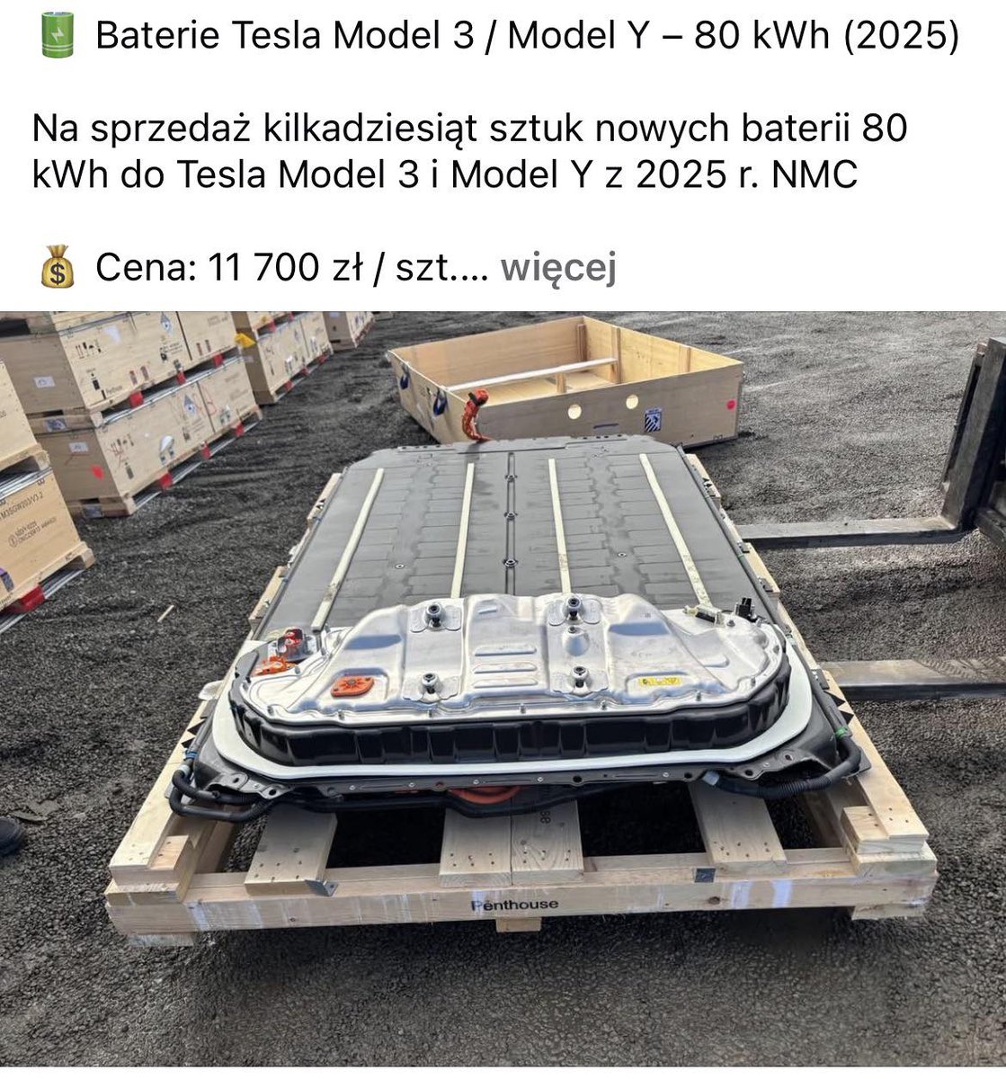 DANDA 🤘 tweet media