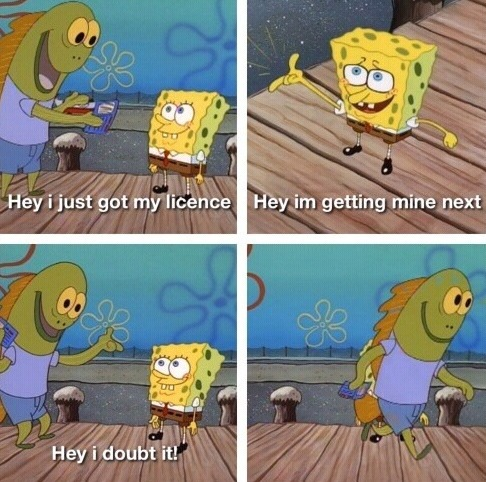 TRAFON(s Backup Account) tweet media