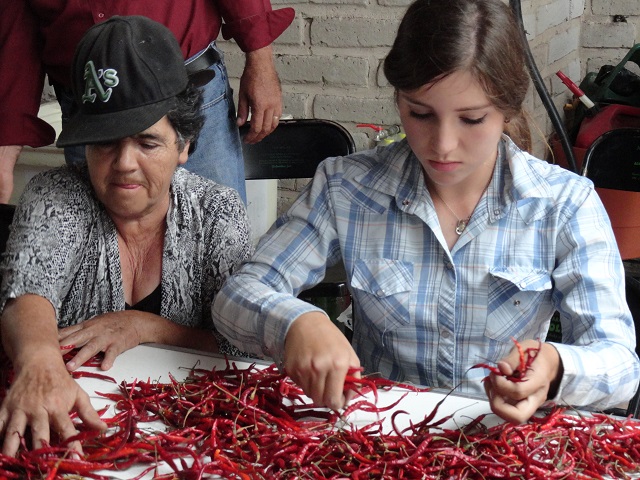 jaliscocina tweet media