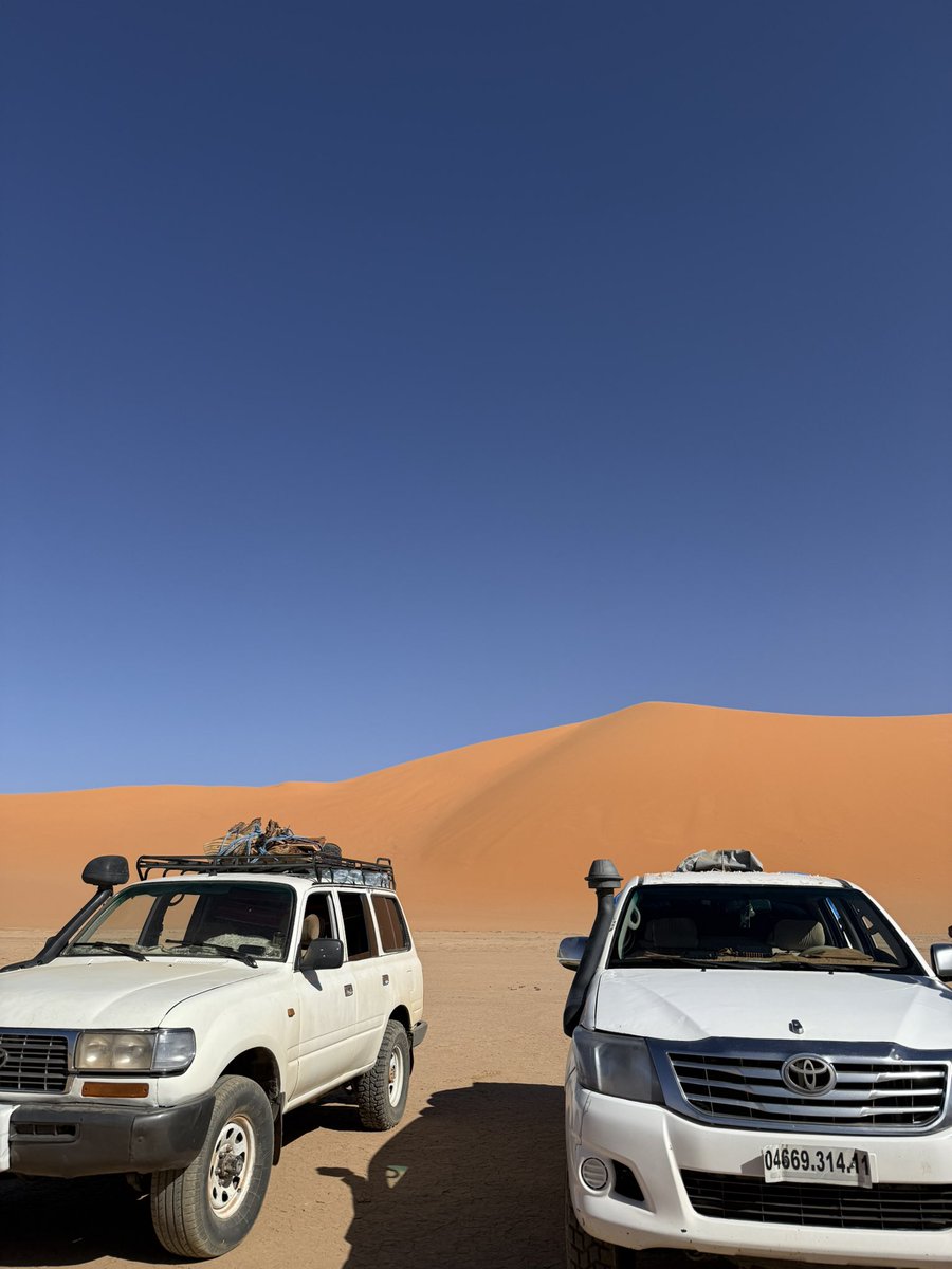 𝟏𝟗𝟗𝟕 🪭 tweet media