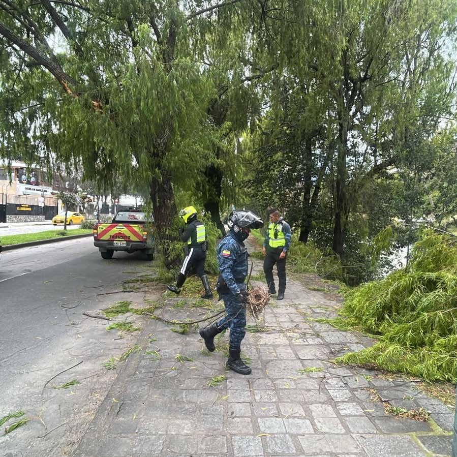 EMOV EP Cuenca tweet media