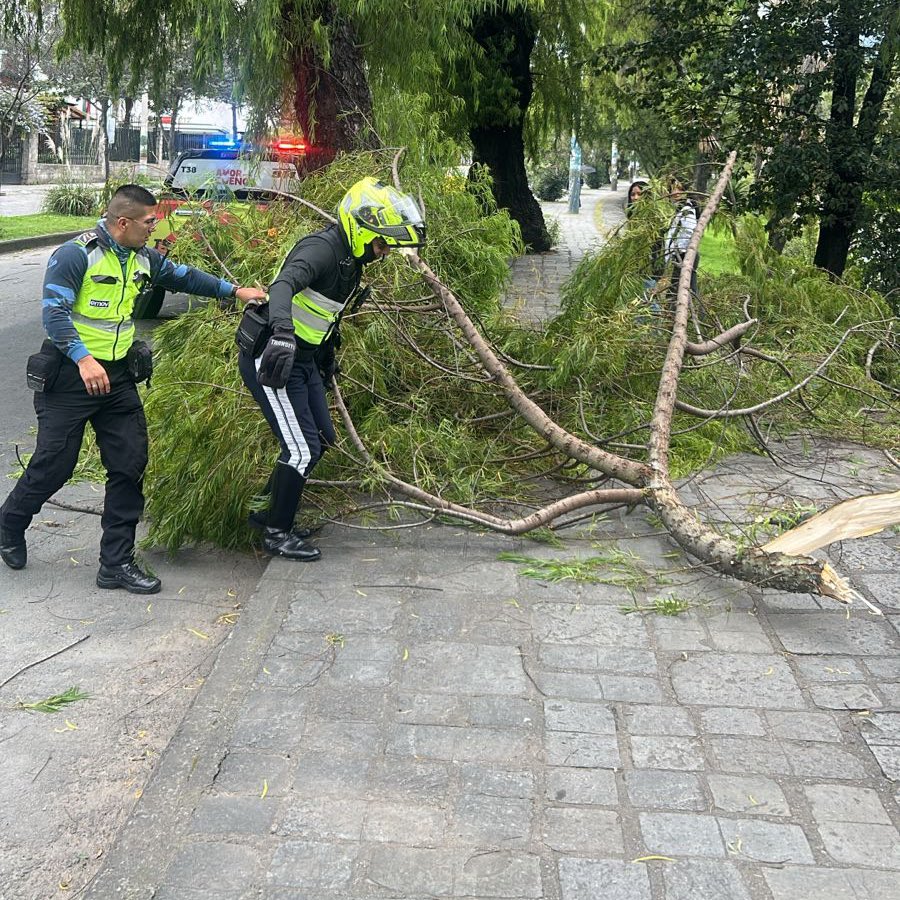 EMOV EP Cuenca tweet media