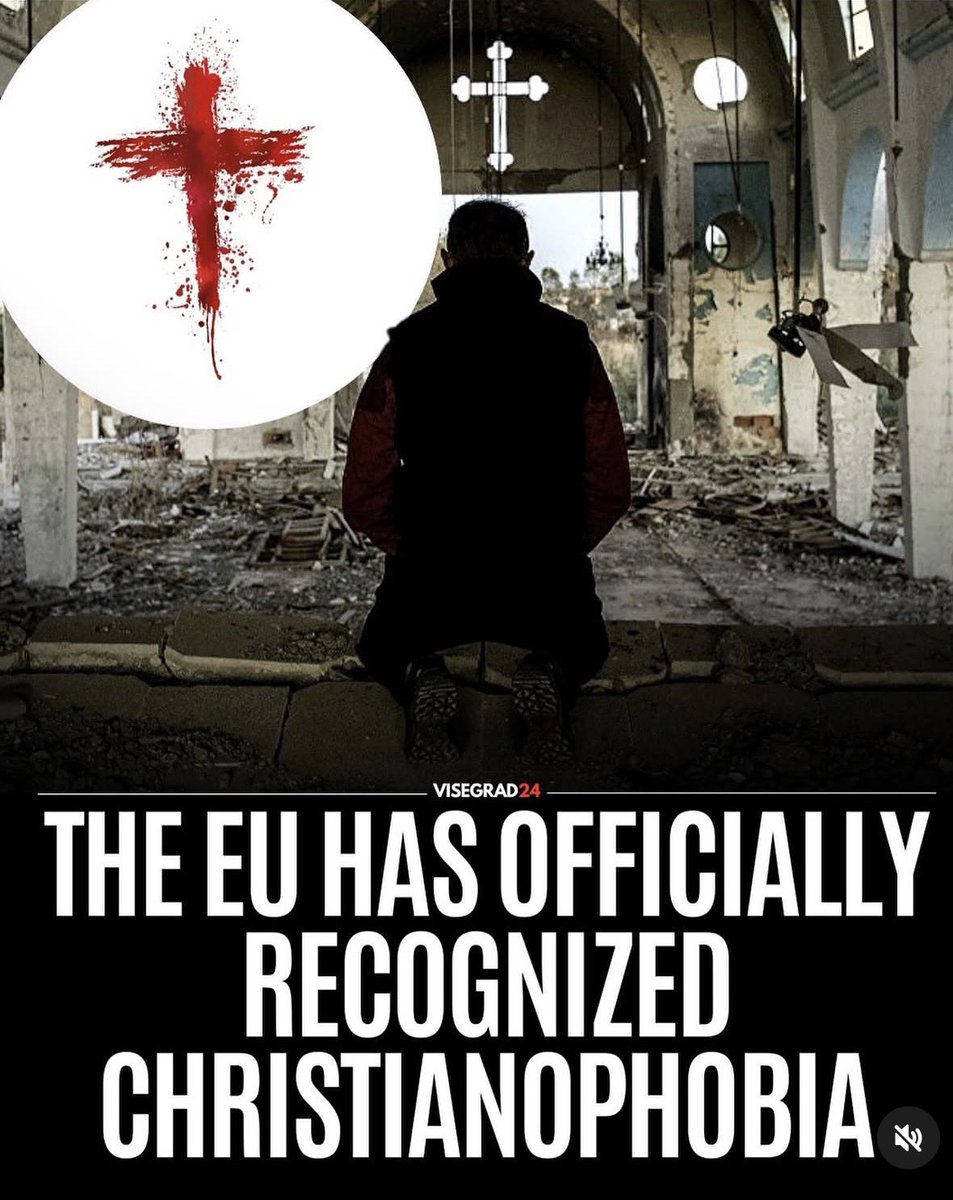 Rikki Doolan tweet media