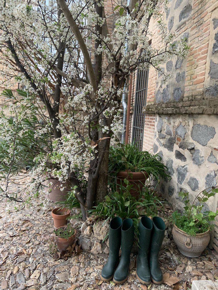 Teresushi tweet media