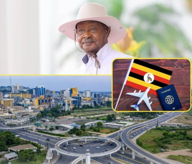 African Hub tweet media