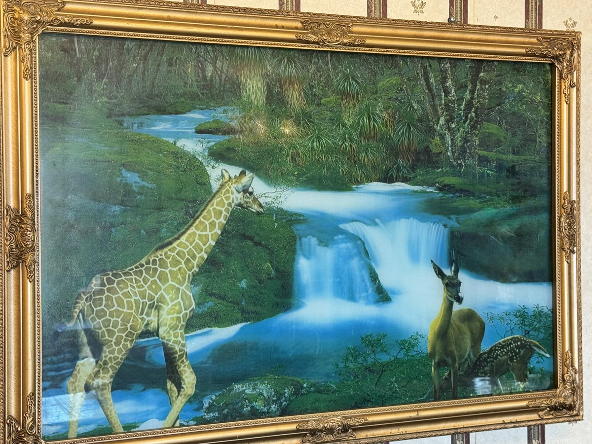 ₩₳Ɽ ₱₳₮Ⱨ tweet media