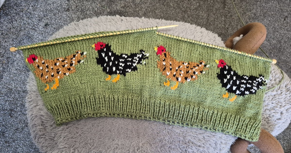 The Yorkshire Grey Sheep tweet media