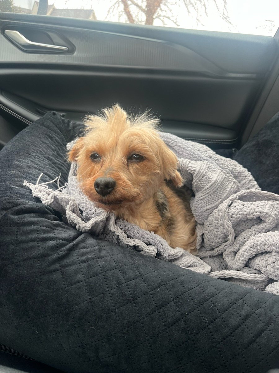 Lance Raver tweet media