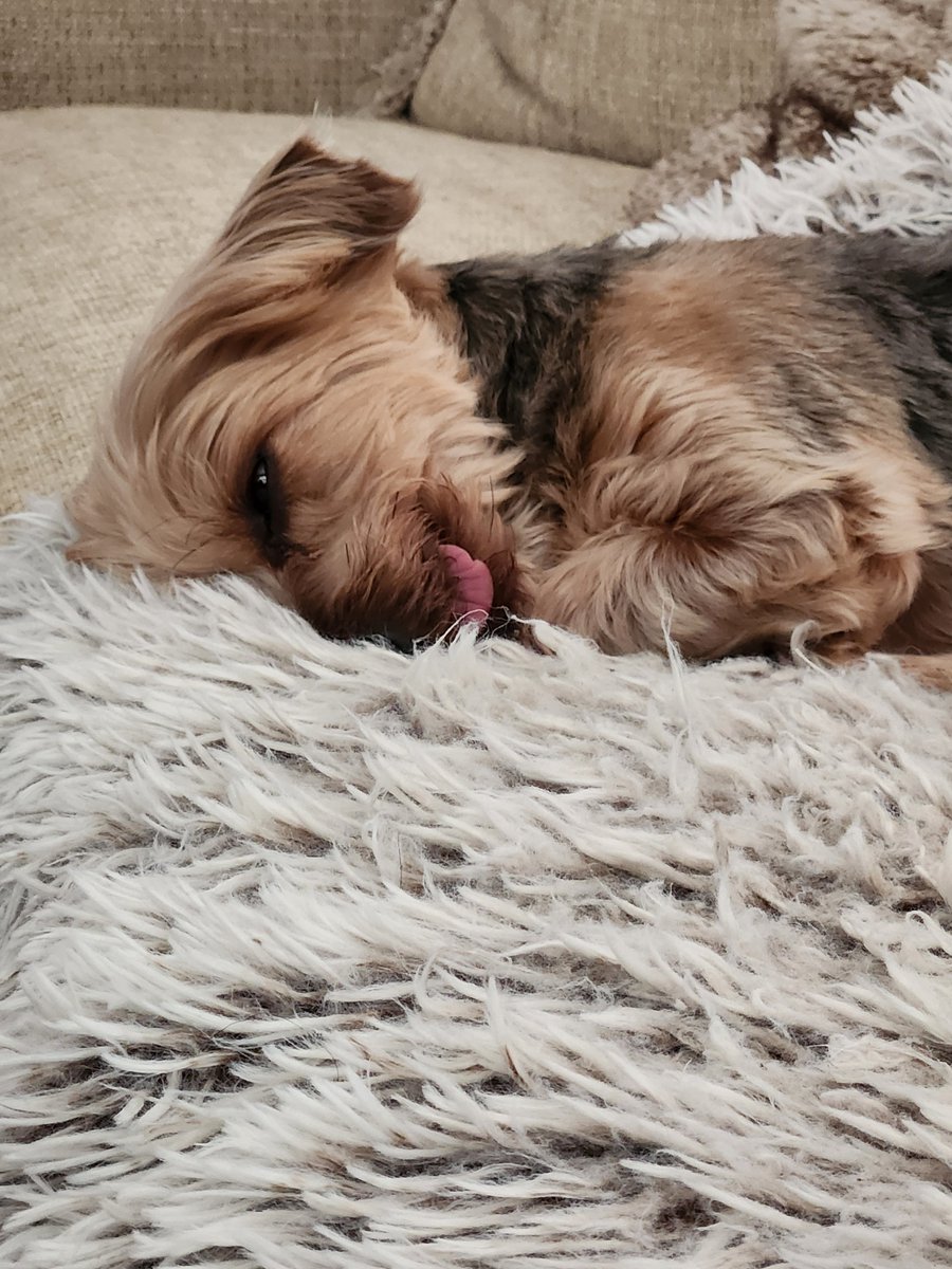 Lance Raver tweet media