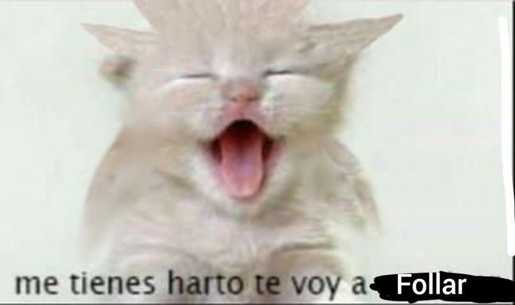 sol (@solmareaa) on Twitter photo 