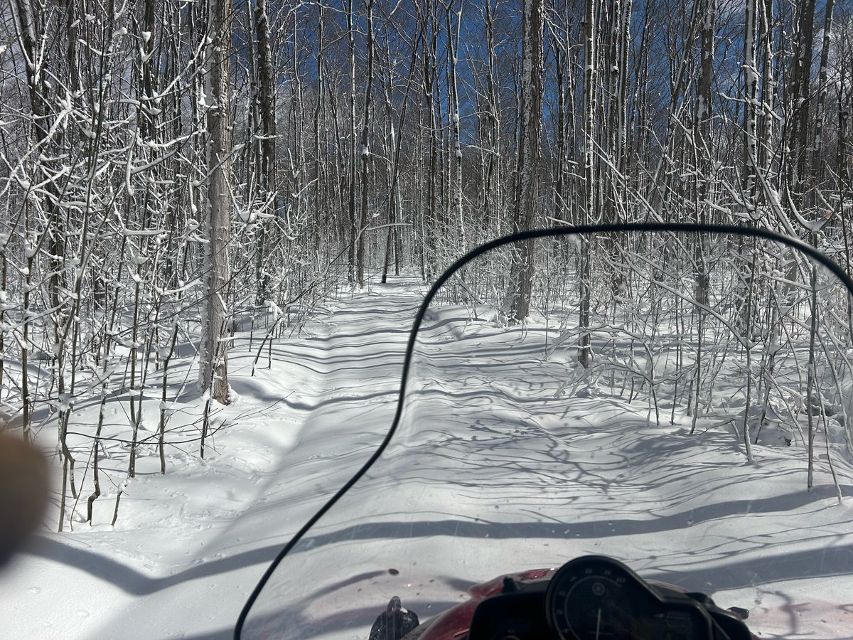 Larry Miller Retired tweet media