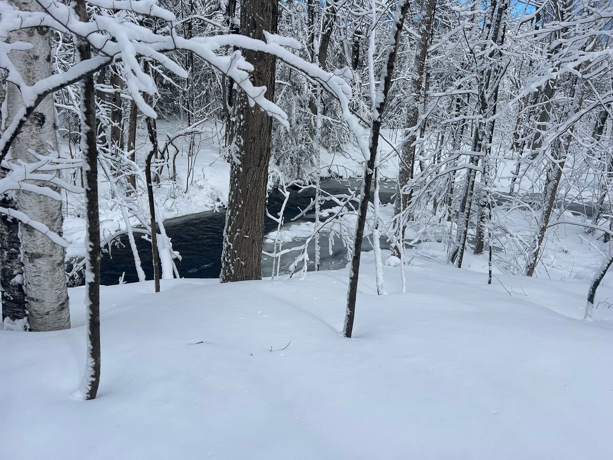 Larry Miller Retired tweet media