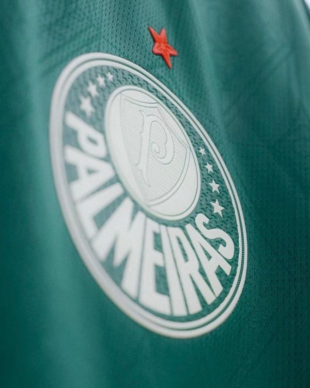 Planeta do Palmeiras 🌎 tweet media