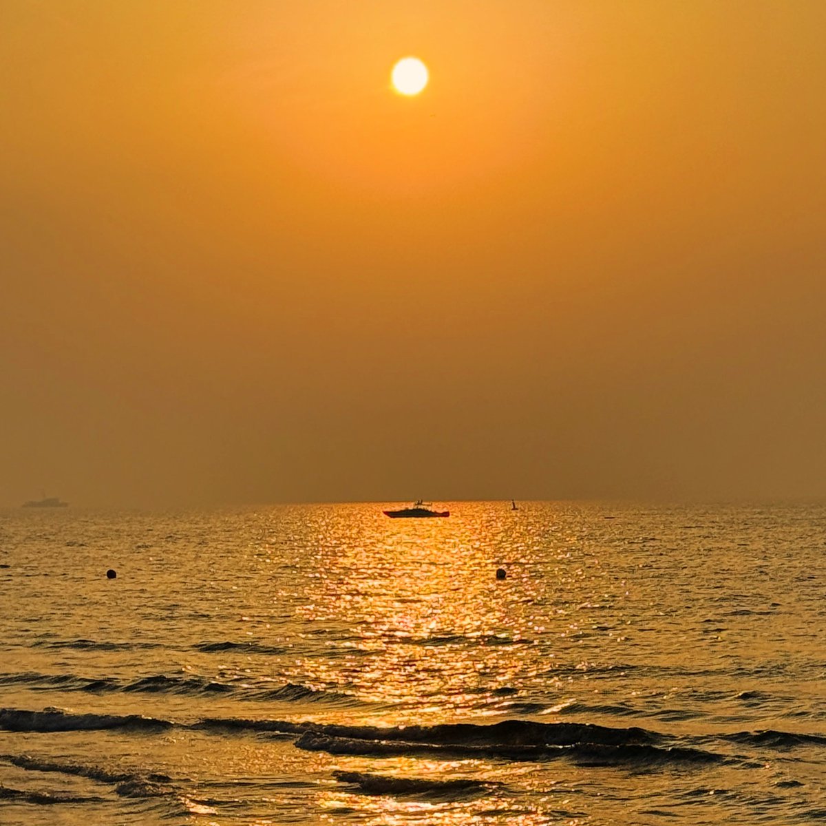 globalnode 🟥 tweet media