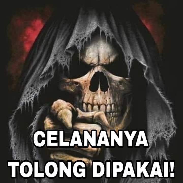 ellee tweet media
