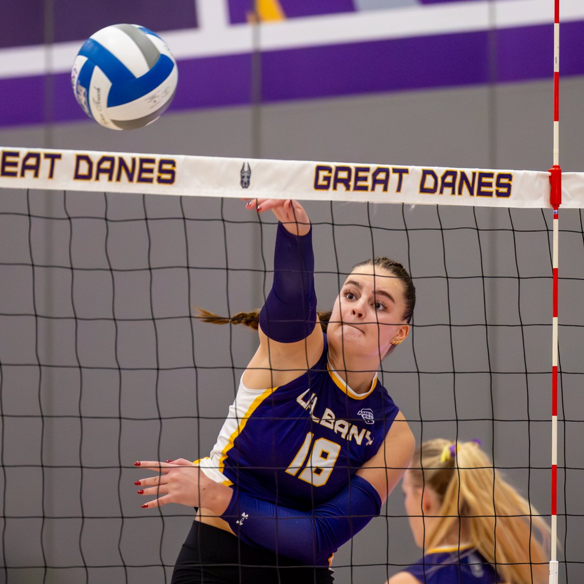 UAlbany Volleyball tweet media