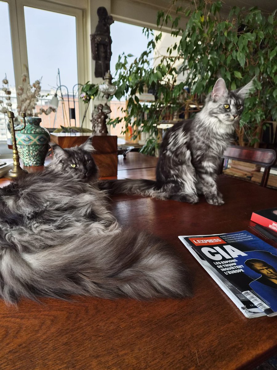 Claude Moniquet tweet media