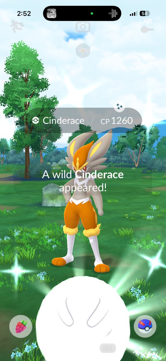 Chase ʕ•ᴥ•ʔ tweet media