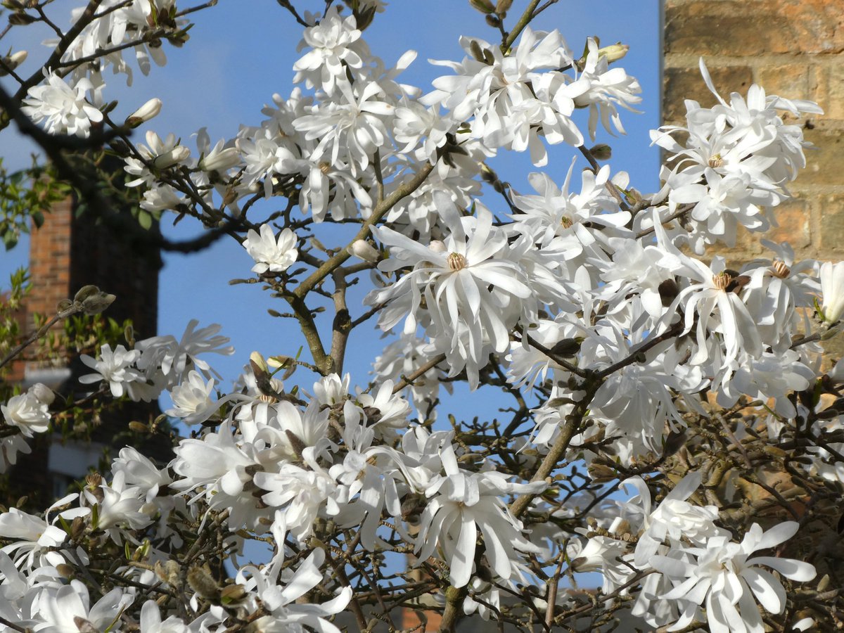 Beatrice Groves tweet media