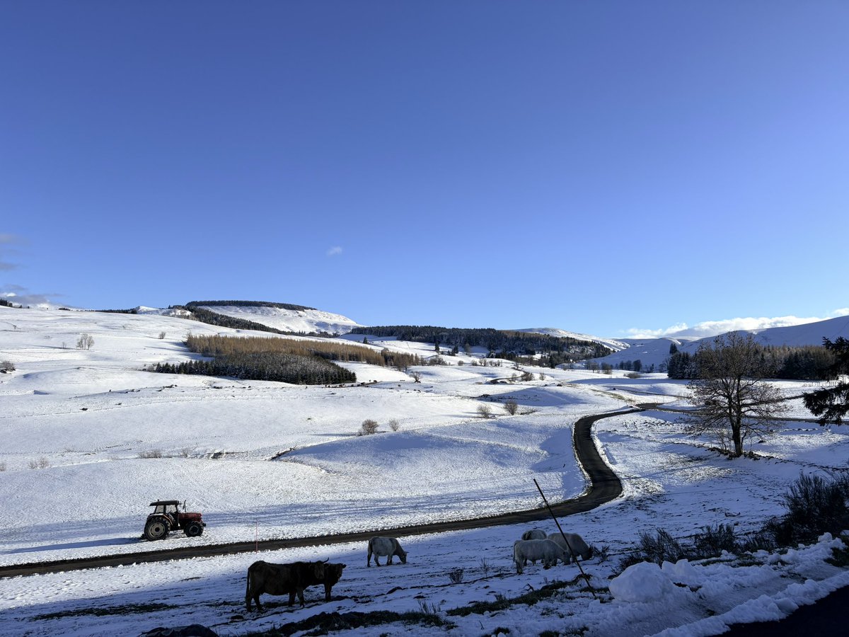 Alexis Linant 🧙 tweet media