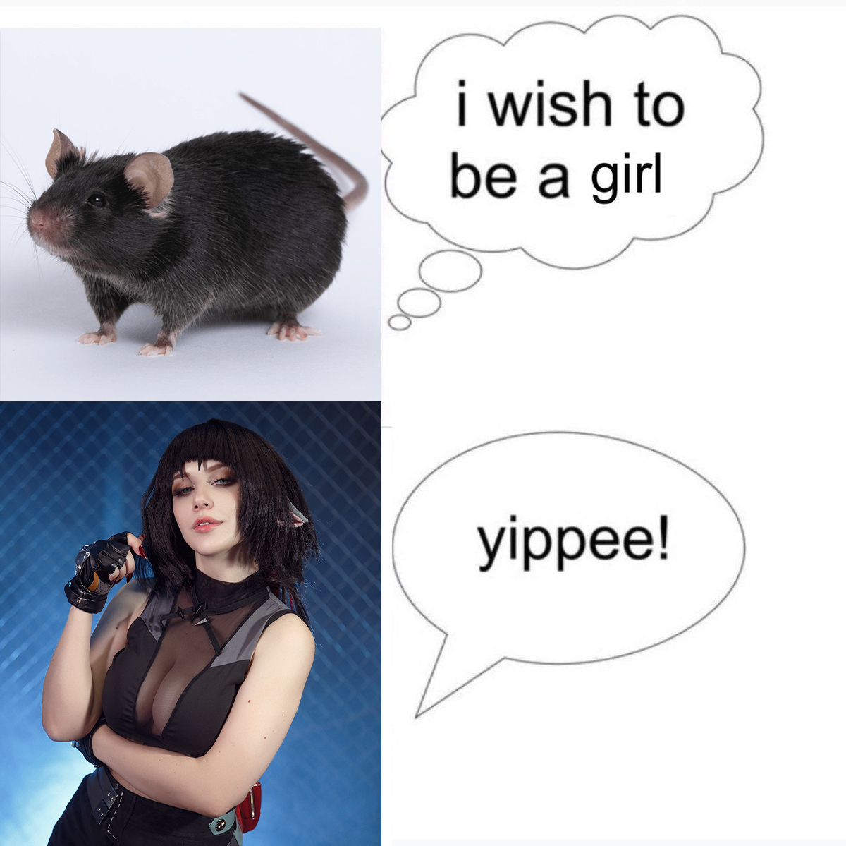 Mercurygin Cosplay tweet media