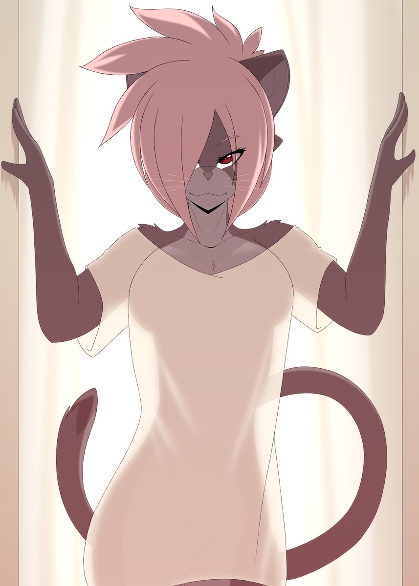 SweepTomp tweet media