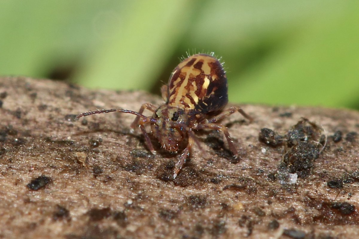 Dr Juliet Turner tweet media