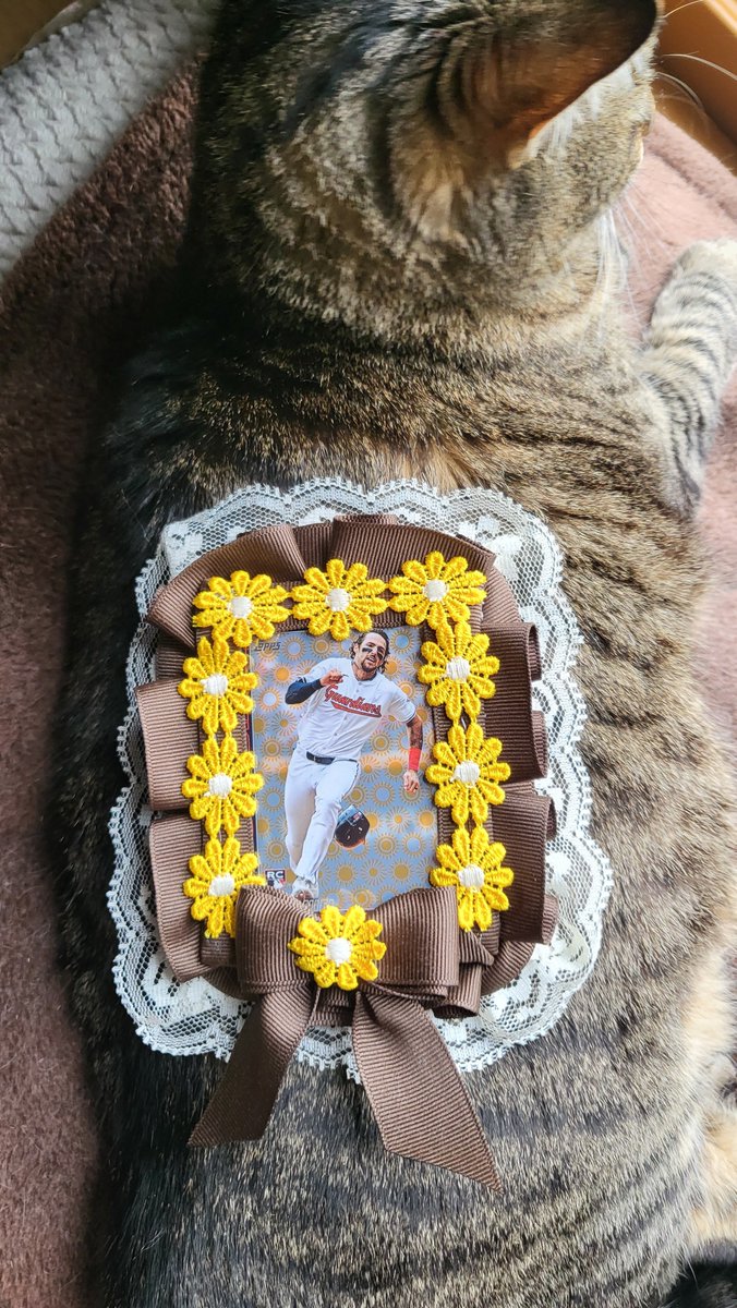 Nicole 🖤 tweet media