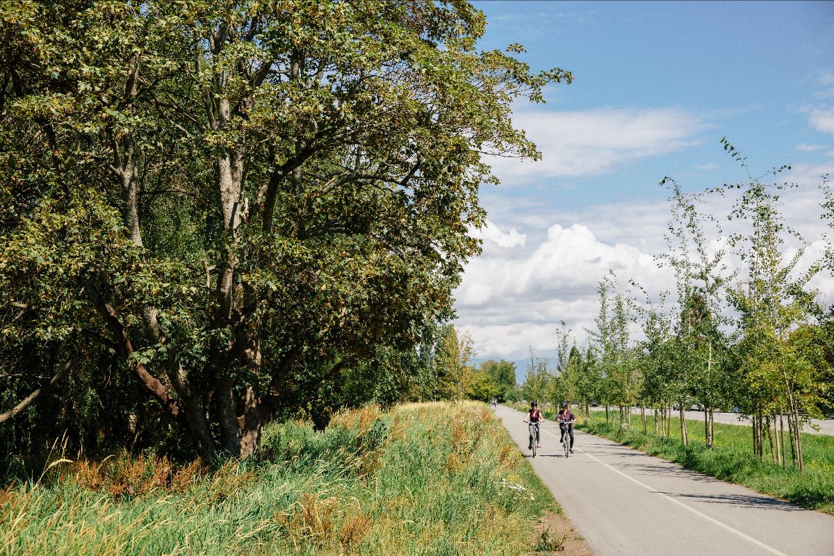 jchow23708's tweet photo. HUB Maple Ridge - Pitt Meadows Newsletter 🚲 - https://t.co/hA2MYQKtcx https://t.co/wHsjtQPT4d