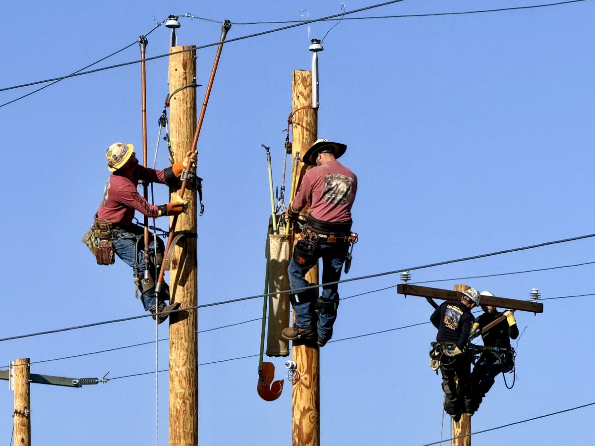 Florida Public Power tweet media