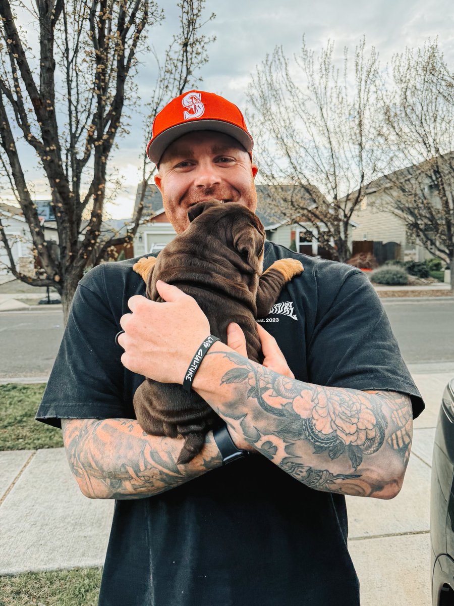 Rob Tramonte ⚡️ tweet media