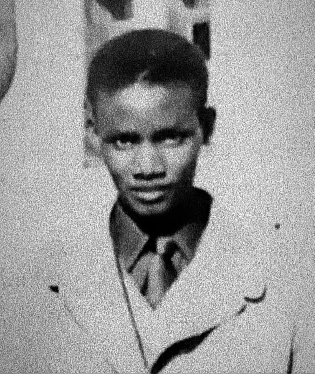 𝙇𝙚𝙪𝙢𝙞𝙣𝙚 🇸🇳🇵🇸 tweet media