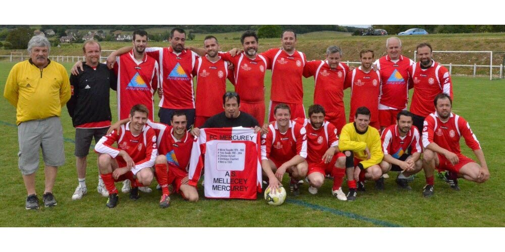 CamisetasArlequinadas tweet media