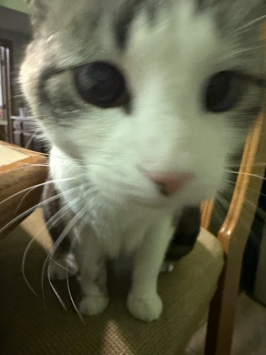 nitelyfe tweet media