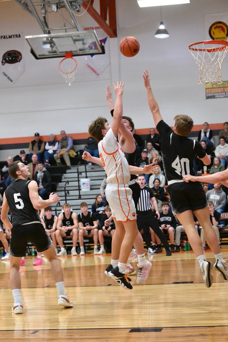 Talen Holman tweet media