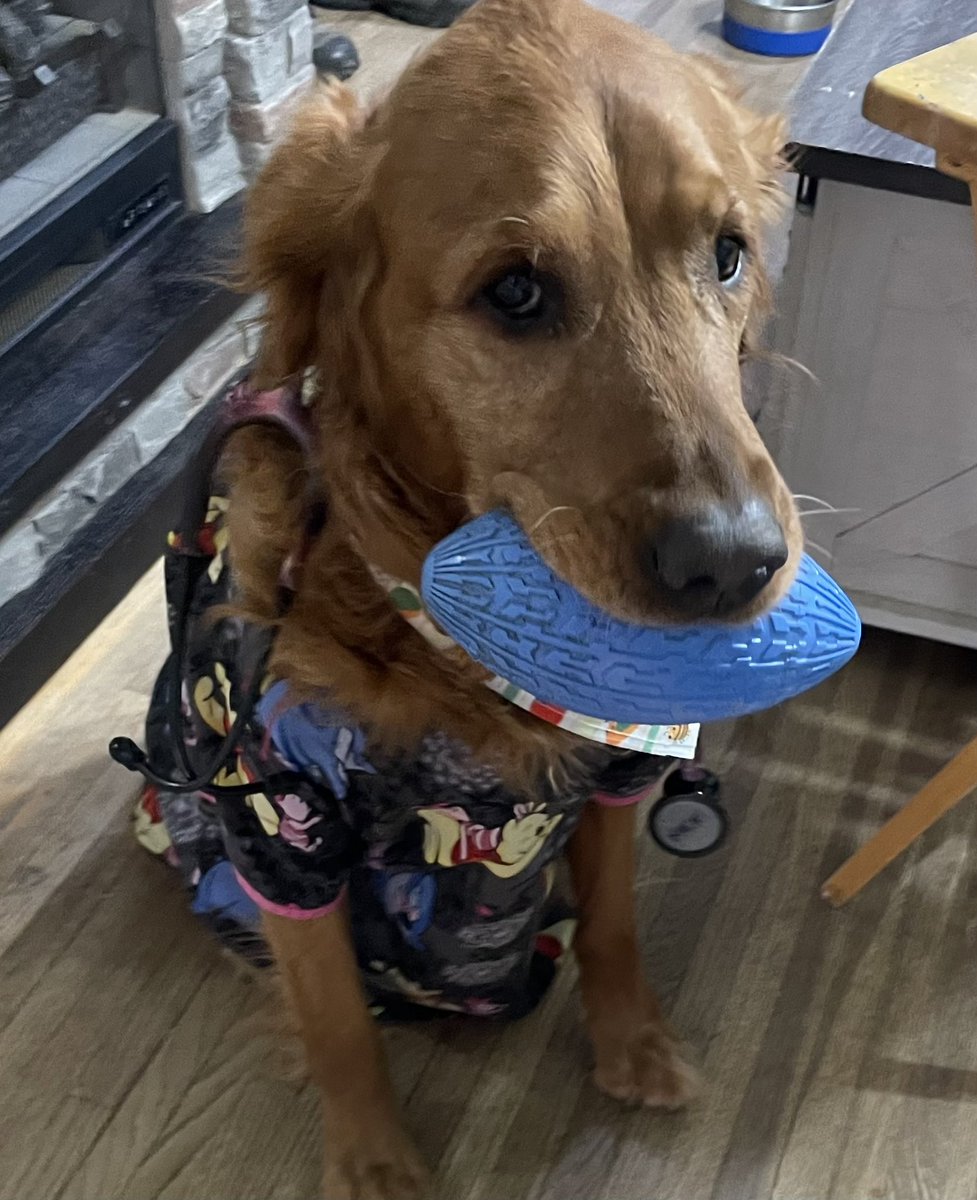 Shawn Finch tweet media