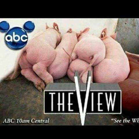 Conservative Yankee tweet media