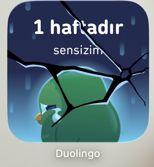 sudeynas's tweet photo. Bi süredir bende bensizim duolingo üzülme alışıyorsun https://t.co/TeWPG3Tcja