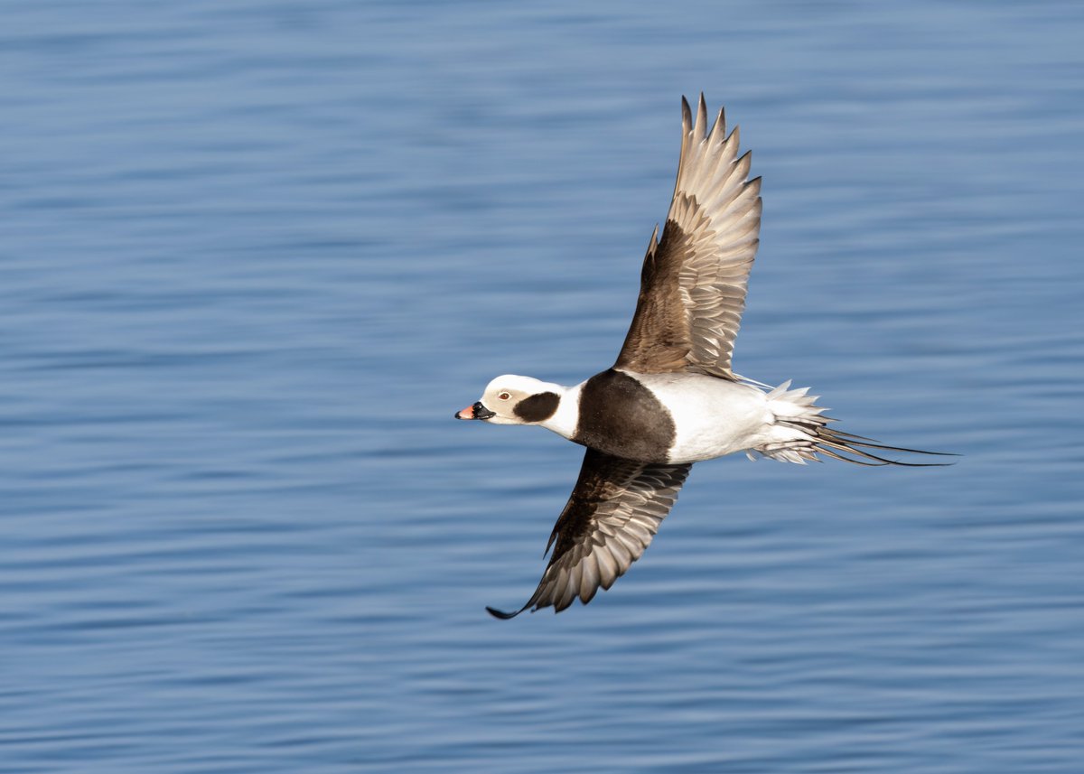 Toby Carter tweet media