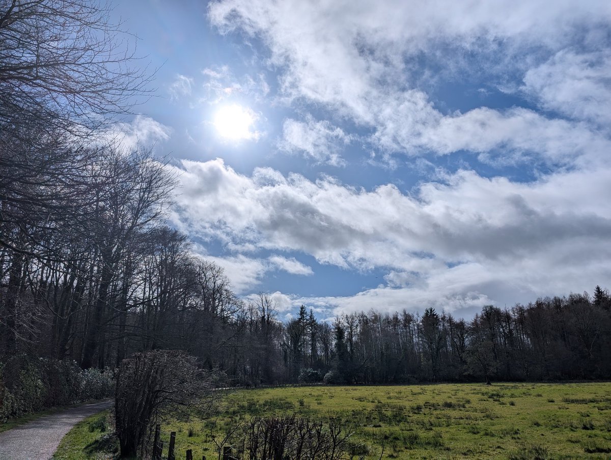 Paul Andrew Sneddon tweet media