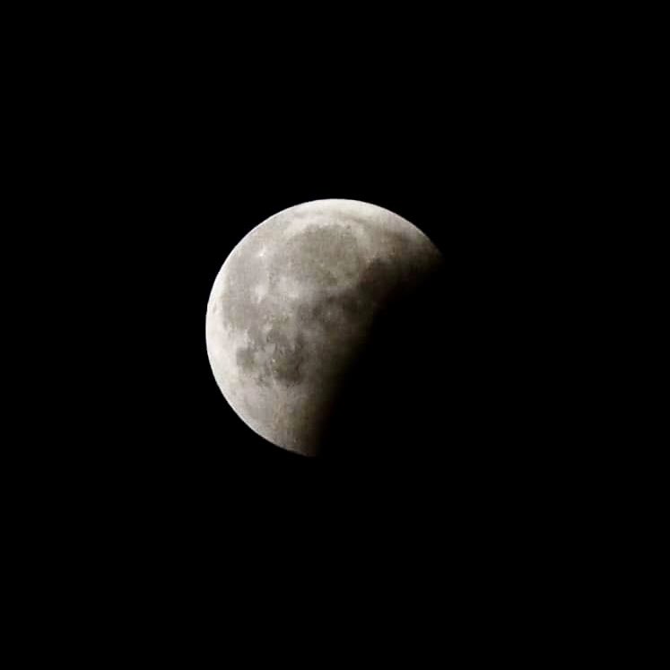 BryanMarquard's tweet image. Three phases of the lunar eclipse a year ago today, and a closeup of one phase. #moon #eclipse
