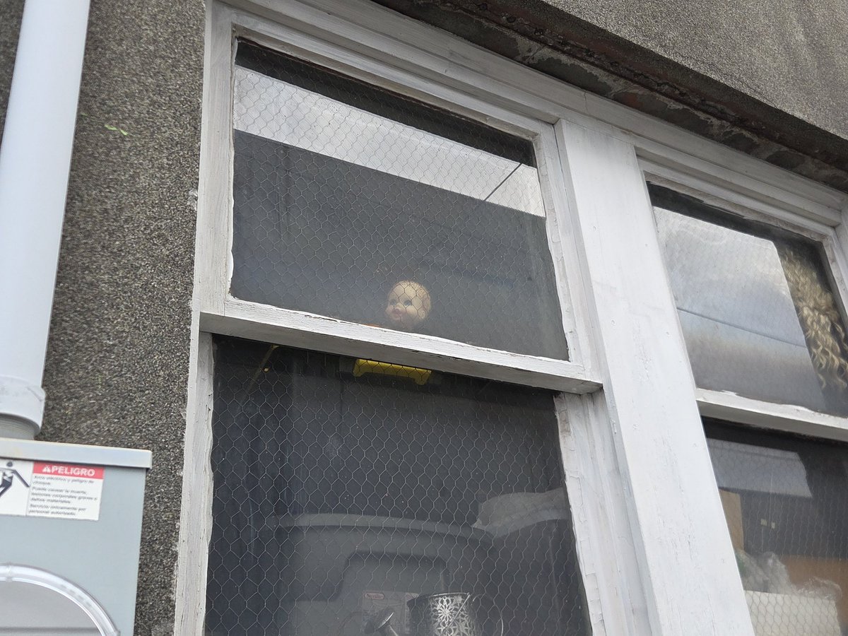 0xLuckless 💀 tweet media