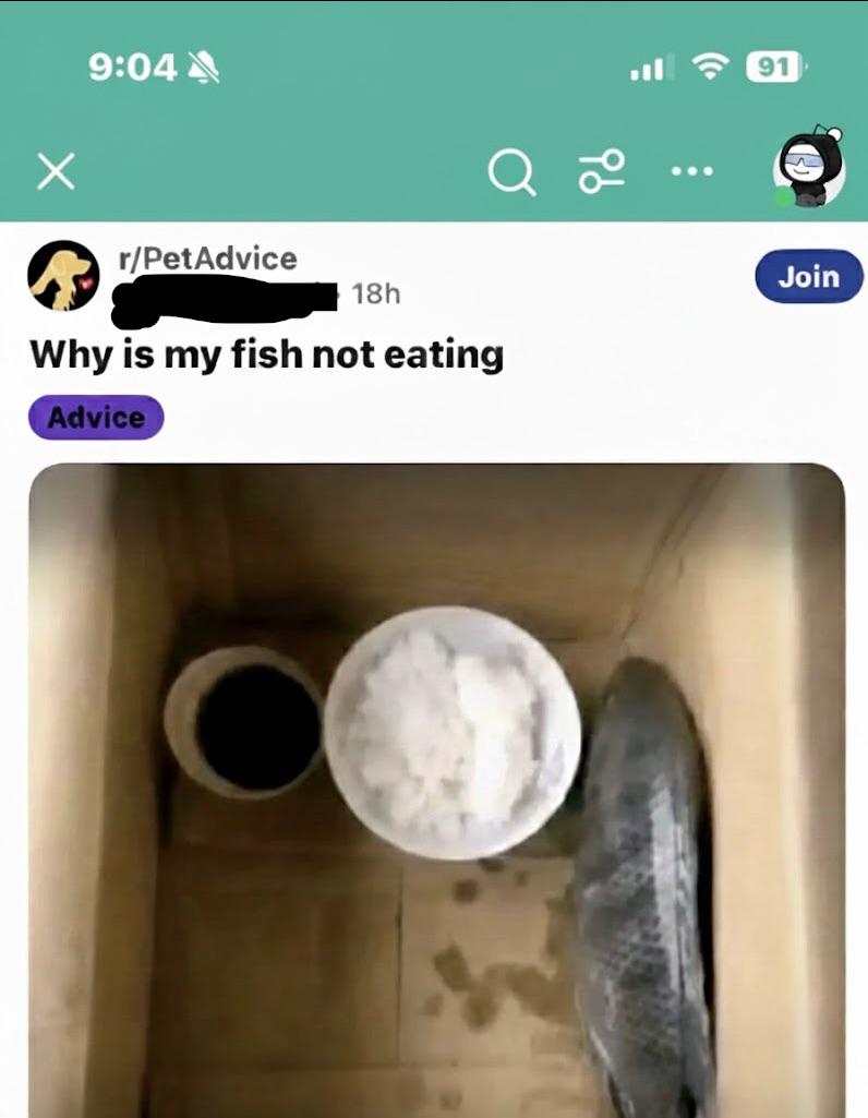 Images That Make You Feel Pain tweet media