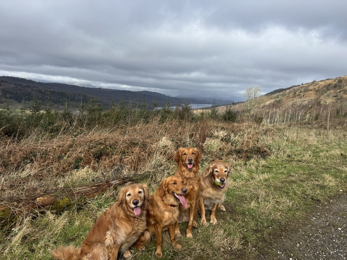 Sandy Childs tweet media