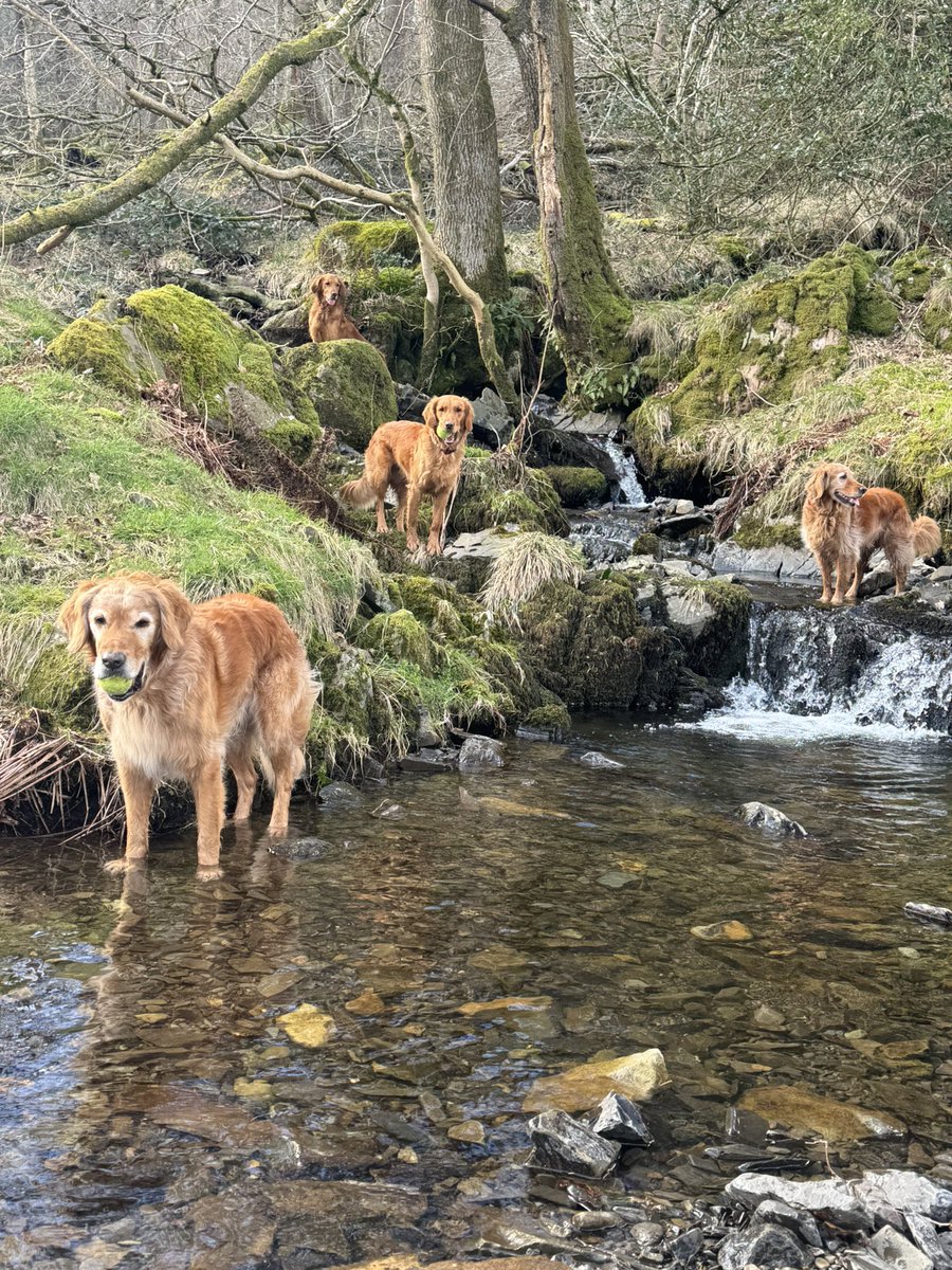 Sandy Childs tweet media