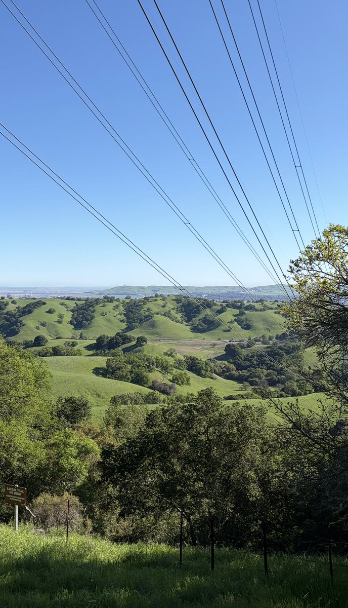 connor ling tweet media