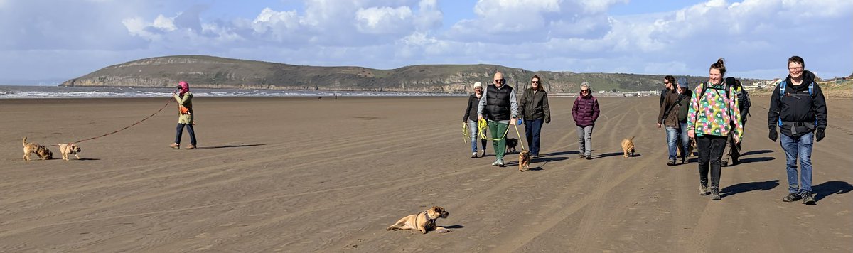 LittleGuyTed tweet media