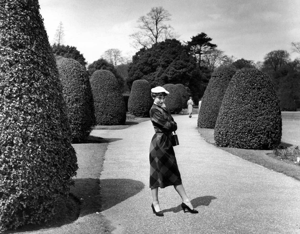 Jenny Difficult-Frecklington-Jones 🇵🇸🍉🇮🇷 tweet media