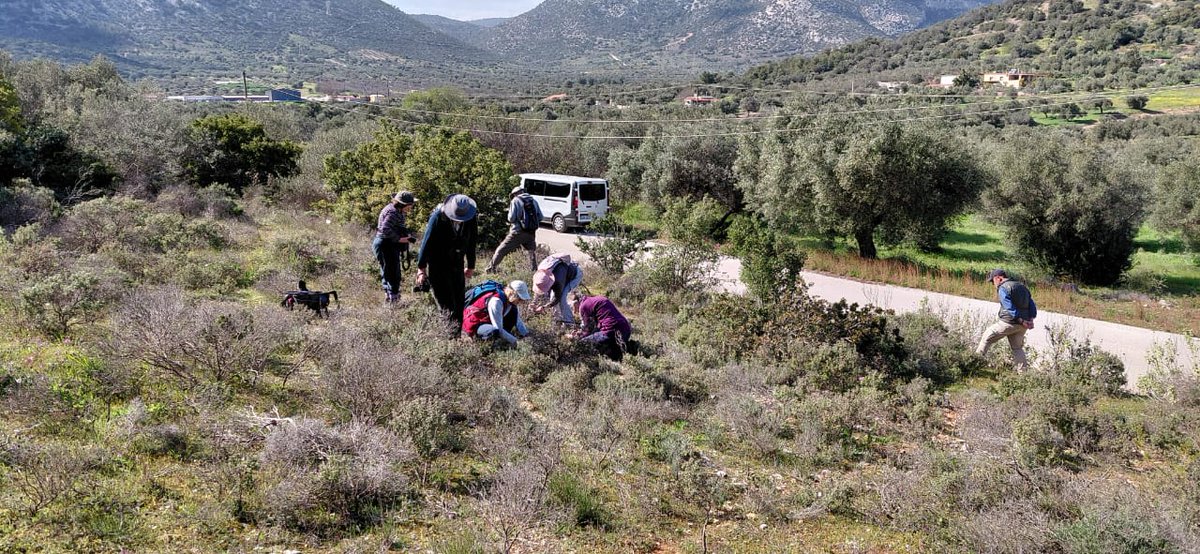 Greenwings Wildlife Tours tweet media