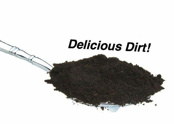 mentally i am here tweet media